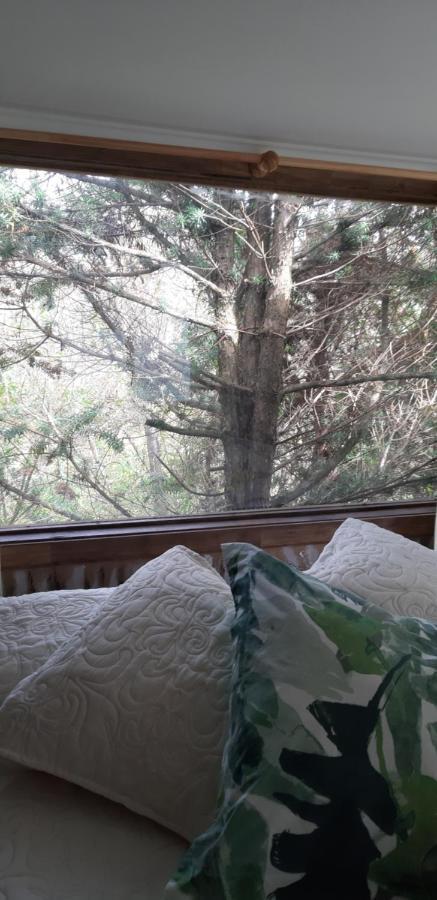 Eco Cabana Puerto Varas Eksteriør bilde