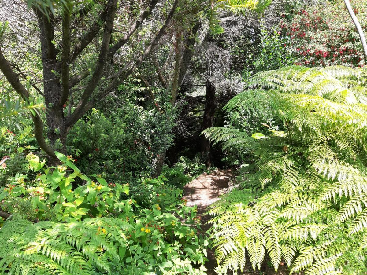 Eco Cabana Puerto Varas Eksteriør bilde